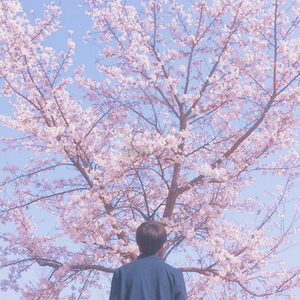 一级A片不卡在线观看
