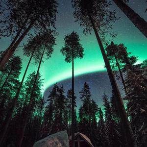 一级A片不卡在线观看
